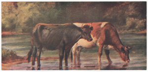 Vintage Calendar Art cows, cattle, livestock, farm life, etc.